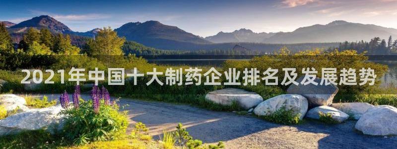 老哥俱乐部是干什么的：2021年中国十大制药企业排名及发展趋势