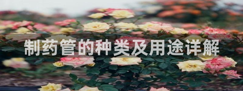 九游会老哥俱乐部官网：制药管的种类及用途详解