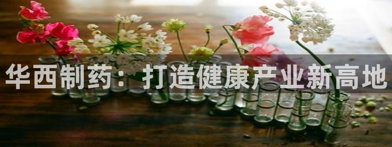 九游老哥俱乐部官网登录不了：华西制药：打造健康产业新高地