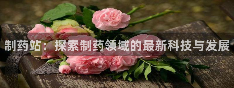 usdt九游会老哥俱乐部：制药站：探索制药领域的最新科技与发展