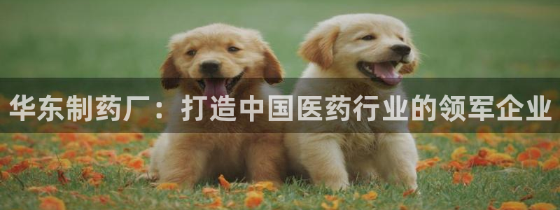 九游会老哥俱乐部：华东制药厂：打造中国医药行业的领军企业