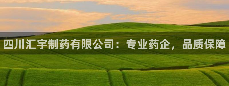 9游会老哥：四川汇宇制药有限公司：专业药企，品质保障