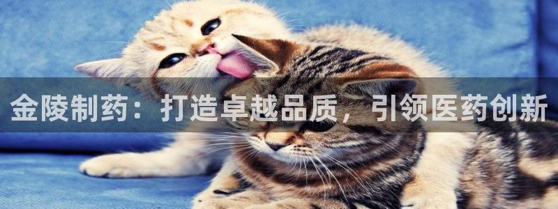 九游会老哥俱乐部官网首页论坛：金陵制药：打造卓越品质，引领医药创新