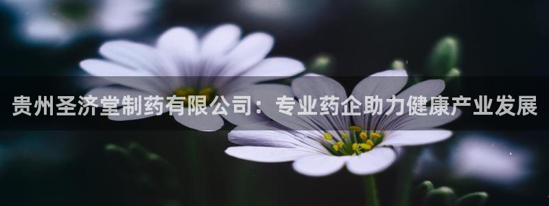 九游老哥俱乐部登录：贵州圣济堂制药有限公司：专业药企助力健康产业发展