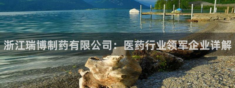 ag九游会老哥俱乐部：浙江瑞博制药有限公司：医药行业领军企业详解
