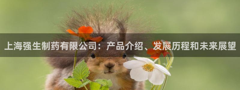 九游会老哥俱乐部必备的交流社区：上海强生制药有限公司：产品介绍、发展历程和未来展望