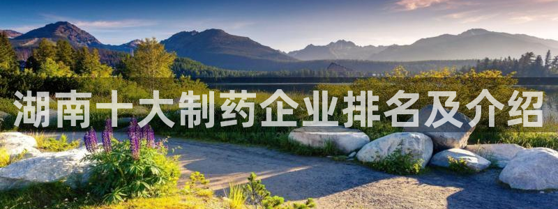 ag九游老哥俱乐部