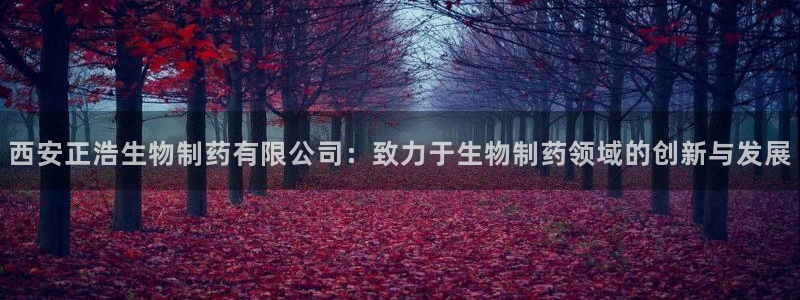 ag九游老哥俱乐部