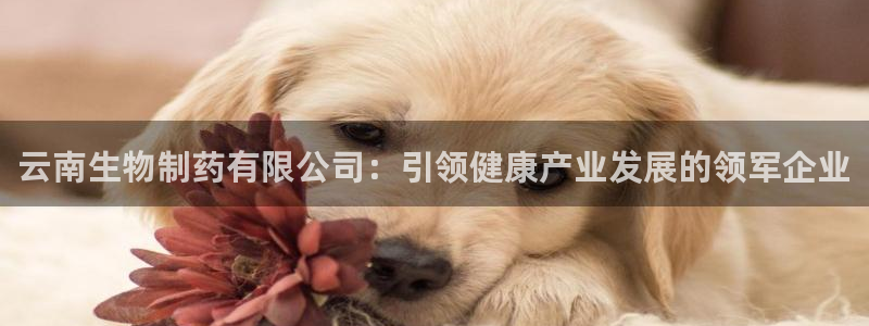老哥俱乐部是干什么的啊