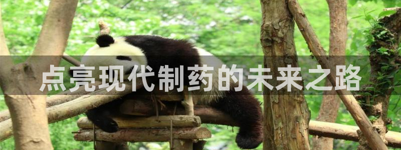 九游会老哥俱乐部交流社区：点亮现代制药的未来之路