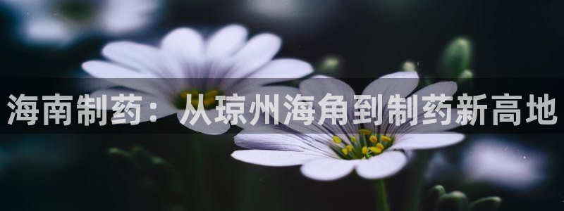 九游老哥俱乐部官网登录不了