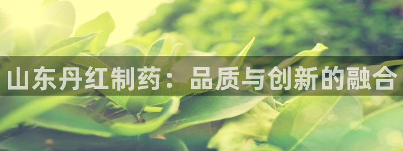 老哥吧九游会下架吗