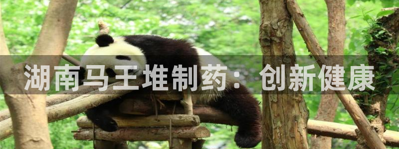 九游会老哥俱乐部官网首页