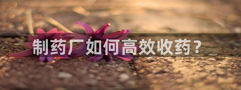 九游老哥俱乐部官网登录不了