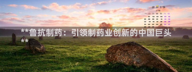 九游会老哥俱乐部官网首页：**鲁抗制药：引领制药业创新的中国巨头
**