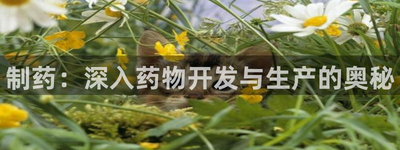 九游老哥俱乐部官网登录：制药：深入药物开发与生产的奥秘