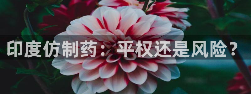 九游会老哥俱乐部：印度仿制药：平权还是风险？