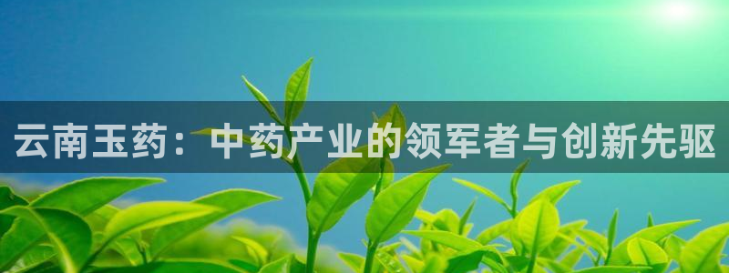 ag九游会老哥俱乐部：云南玉药：中药产业的领军者与创新先驱