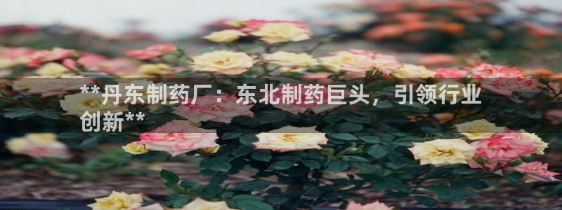 老哥吧九游会：**丹东制药厂：东北制药巨头，引领行业
创新**