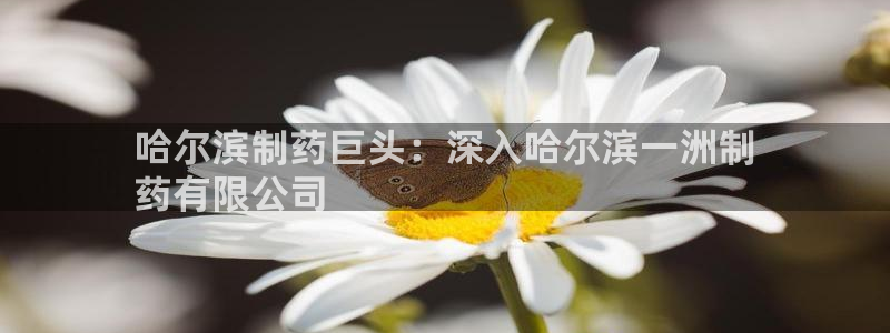 九游会老哥俱乐部：哈尔滨制药巨头：深入哈尔滨一洲制
药有限公司