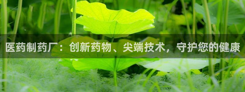 老哥俱乐部是干什么的：医药制药厂：创新药物、尖端技术，守护您的健康