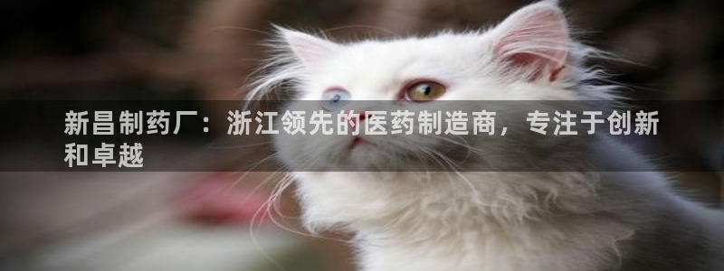老哥俱乐部是干什么的啊：新昌制药厂：浙江领先的医药制造商，专注于创新
和卓越