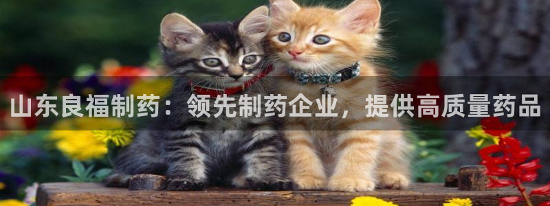 ag九游会老哥：山东良福制药：领先制药企业，提供高质量药品