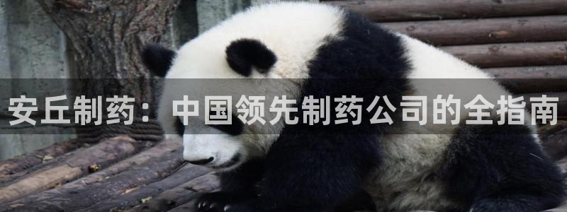ag九游会老哥俱乐部：安丘制药：中国领先制药公司的全指南