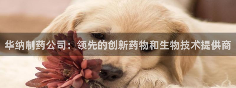 usdt九游会老哥俱乐部：华纳制药公司：领先的创新药物和生物技术提供商