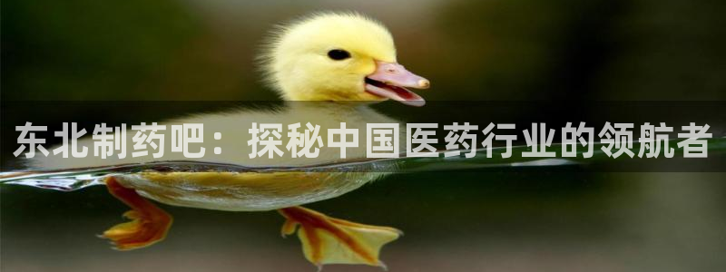 九游会老哥俱乐部交流社区：东北制药吧：探秘中国医药行业的领航者