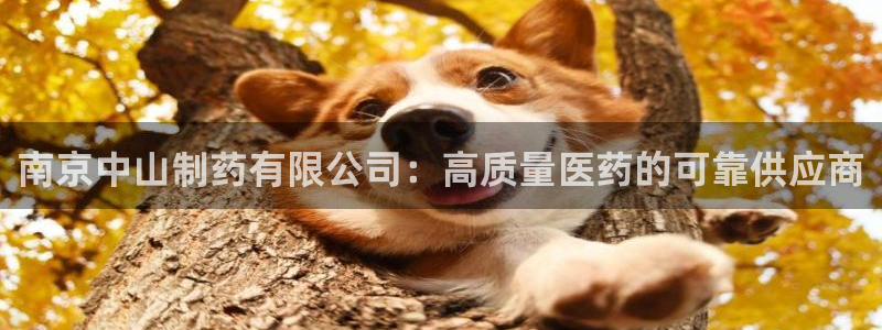 九游会老哥俱乐部：南京中山制药有限公司：高质量医药的可靠供应商