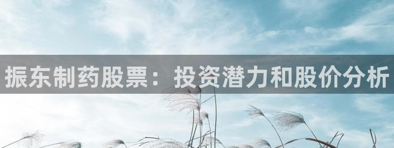 九游会老哥：振东制药股票：投资潜力和股价分析