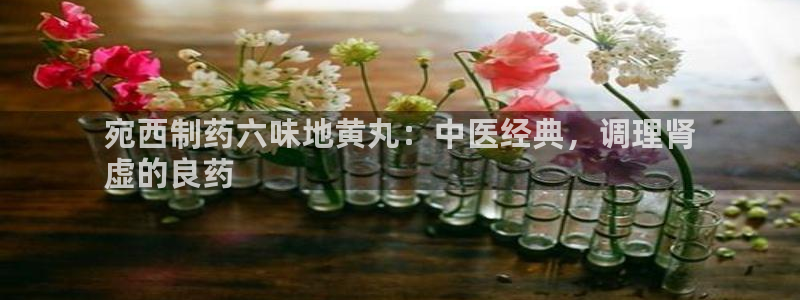 老哥吧九游会：宛西制药六味地黄丸：中医经典，调理肾
虚的良药