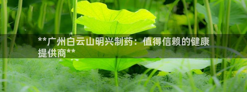 九游老哥俱乐部官网登录不了：**广州白云山明兴制药：值得信赖的健康
提供商**