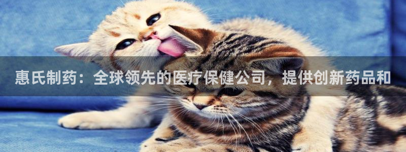 九游会老哥俱乐部官网首页：惠氏制药：全球领先的医疗保健公司，提供创新药品和
