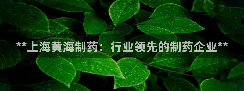 老哥俱乐部是干什么的啊：**上海黄海制药：行业领先的制药企业**