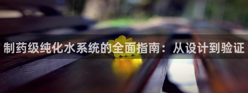 老哥吧九游会：制药级纯化水系统的全面指南：从设计到验证