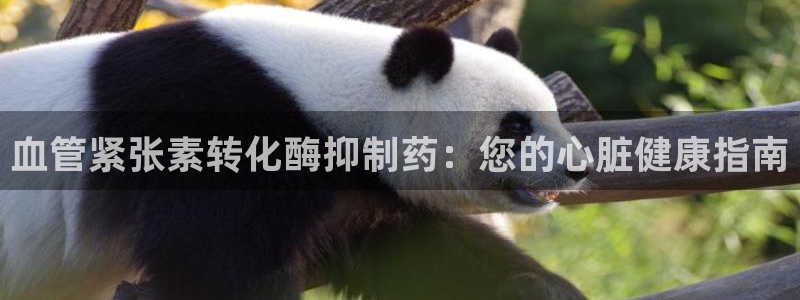 九游老哥俱乐部官网登录入口：血管紧张素转化酶抑制药：您的心脏健康指南