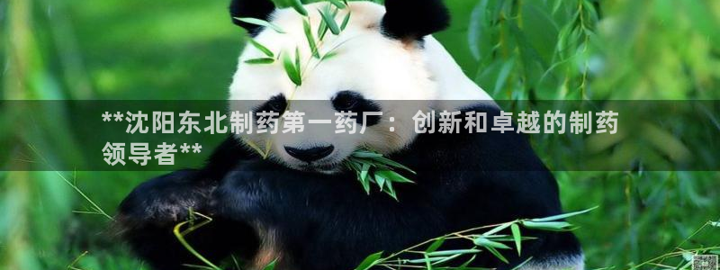 九游会老哥俱乐部：**沈阳东北制药第一药厂：创新和卓越的制药
领导者**