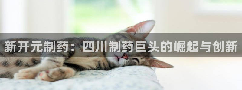 老哥吧九游会：新开元制药：四川制药巨头的崛起与创新