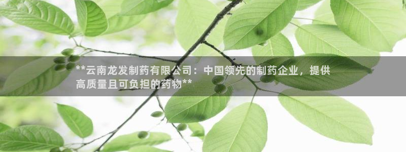 老哥吧九游会：**云南龙发制药有限公司：中国领先的制药企业，提供
高质量且可负担的药物**