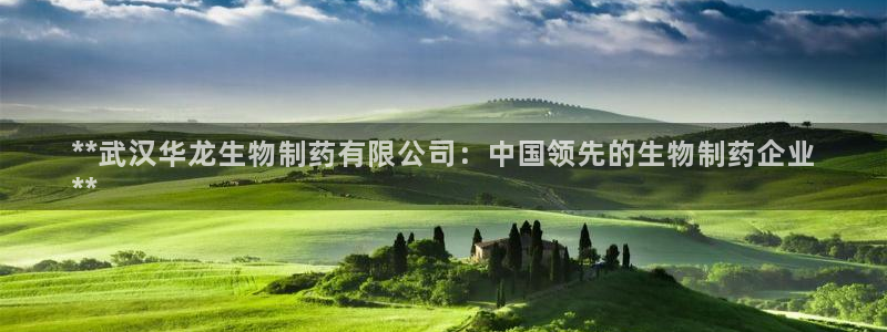 九游会老哥必备的交流社区九：**武汉华龙生物制药有限公司：中国领先的生物制药企业
**