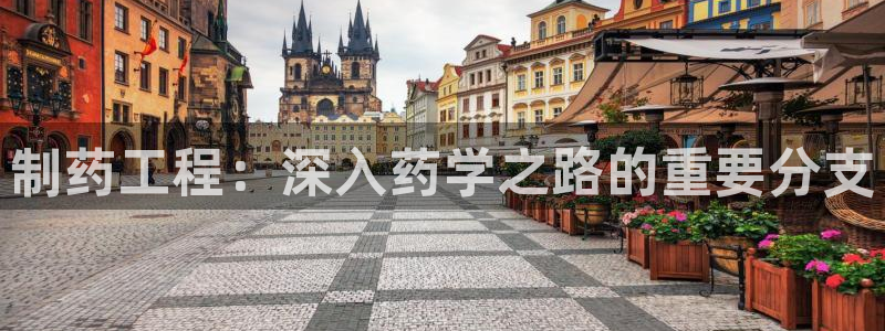 九游老哥俱乐部官网登录网址：制药工程：深入药学之路的重要分支