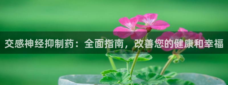 九游会老哥俱乐部官网首页论坛：交感神经抑制药：全面指南，改善您的健康和幸福