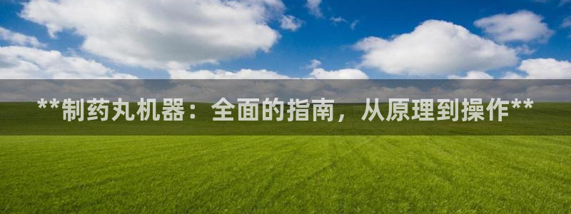 九游会老哥俱乐部论坛版：**制药丸机器：全面的指南，从原理到操作**