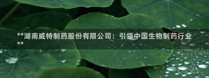 九游会老哥俱乐部交流社区：**湖南威特制药股份有限公司：引领中国生物制药行业
**