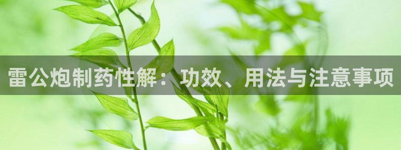 j9九游会老哥俱乐部交流区：雷公炮制药性解：功效、用法与注意事项