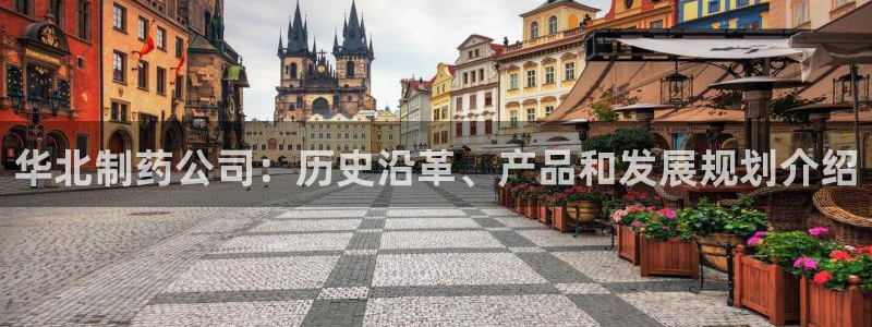 九游会老哥俱乐部官网首页：华北制药公司：历史沿革、产品和发展规划介绍