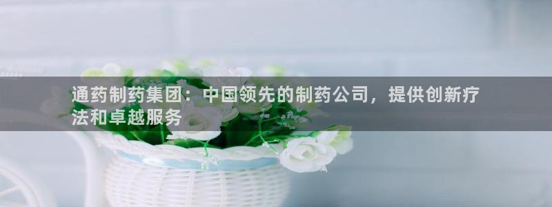 九游老哥俱乐部登录：通药制药集团：中国领先的制药公司，提供创新疗
法和卓越服务