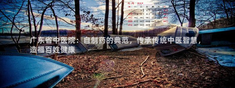 老哥俱乐部是干什么的：广东省中医院：自制药的典范，传承传统中医智慧，
造福百姓健康
